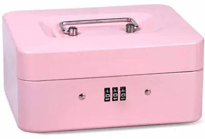 Immagine prodotto di Cassa per contanti, chiudibile a chiave, mini cassaforte portatile, rosa