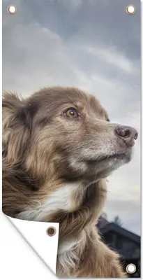 Produktbild von MuchoWow® 40x80 cm Outdoor-Poster Gartendeko Sichtschutz Garten Poster für den Garten  Starrender Hund