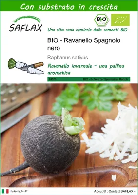 Immagine prodotto di SAFLAX -- Ravanello Spagnolo nero - 100 semi - Con substrato - Raphanus