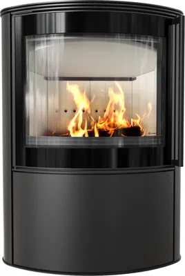 A black steel fireplace with a glass door and burning logs inside, set against a white background.