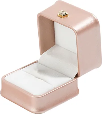 Produktbild von Schmuck-Ringbox, kompakte Größe, tragbar, kratzfest, mit weichem Samtfutter, Ohrring-Ring-Etui, Schmuck-Organizer