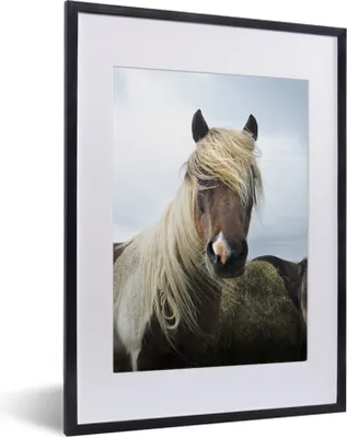 Produktbild von MuchoWow® MuchoWow® Gerahmtes Poster Pferde - Fell - Gras 30x40 cm - Poster mit zchwarzem Bilderrahmen - Wandposter Schlafzimmer