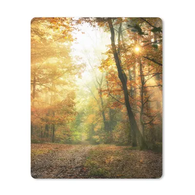 Produktbild von MuchoWow® Mauspad Mousepad Wald - Herbst - Sonne - Landschaft - Natur - Bäume - Laub 30x40 cm - Mousepads - Maus Mat - Pad - Mausunterlage - Mausmatten