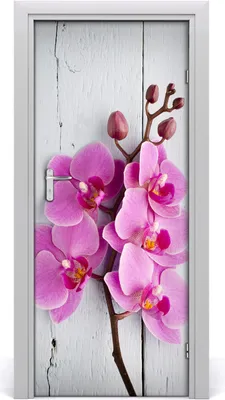 Produktbild von Tulup Türaufkleber 85x205 cm Dekorative Aufkleber Selbstklebend Wasserdichte Tapete Abnehmbar Schlafzimmer Wohnzimmer Wohnkultur - Wandtattoo rosa Orchidee