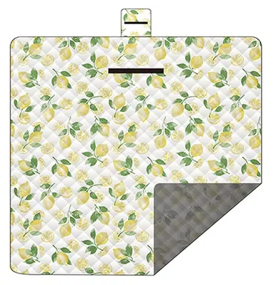 Produktbild von Wasserfeste und waschbare XXL-Weichdecken (200 x 200 cm, grün)