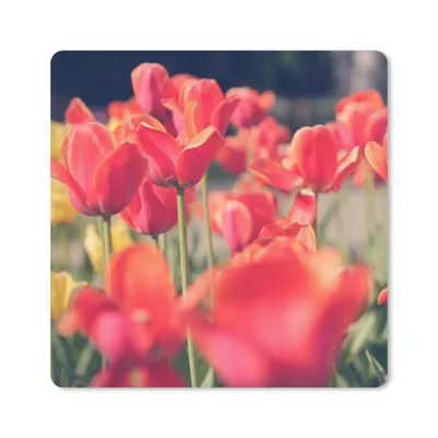 Produktbild von MuchoWow® Mauspad Mousepad Tulpen - Blumen - Natur 20x20 cm - Mousepads - Maus Mat - Pad - Mausunterlage - Desk Mat - Bureauartikeln
