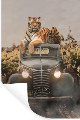 Produktbild von MuchoWow® - Sticker - Dekorfolie