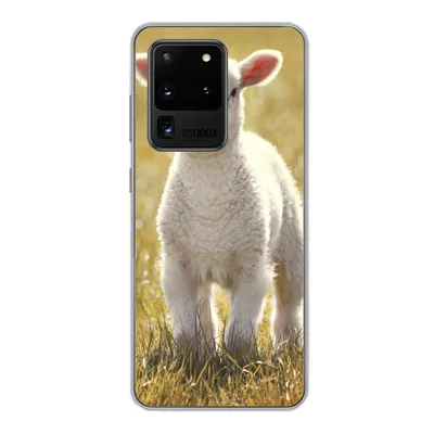 Produktbild von MuchoWow® Handyhülle Schutzhülle Hülle für Samsung Galaxy S20 Ultra Schafe - Gras - Sonne Silikon Softcase Handy Hülle - Karteninhaber