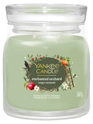 Immagine prodotto di Yankee Candle 2653151E, rotonda, verde, trasparente, dolce, 50 h, 1 pezzi