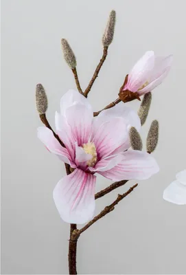 Produktbild von künstlicher Magnolienzweig Real Touch L. 44cm rosa Formano Kunstblumen