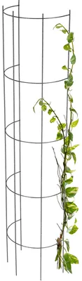 Obrázok produktu pre Záhradná pergola, kovová konštrukcia, dekoratívny dizajn, čierna farba