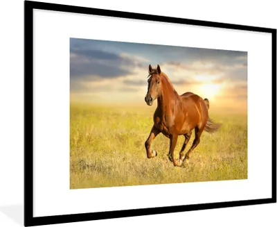 Produktbild von MuchoWow® MuchoWow® Gerahmtes Poster Pferd - Sonne - Gras - Tier 90x60 cm - Poster mit zchwarzem Bilderrahmen - Wanddekoration - Fotos