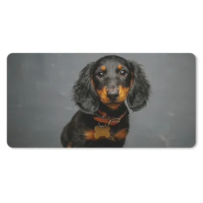 Produktbild von MuchoWow® Schreibtischunterlage Studiofoto eines Dackelwelpen 80x40 cm - XXL Mauspad - Gaming Mauspad