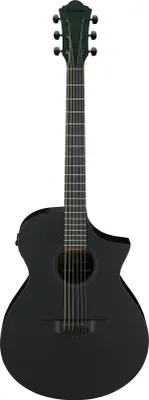 Produktbild von Ibanez Aewc621-Bot