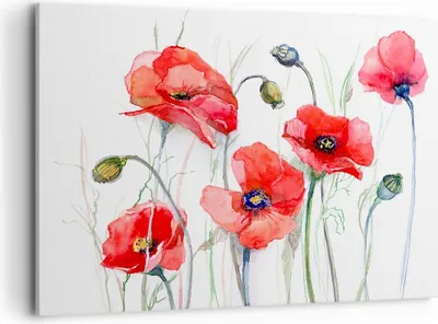 Produktbild von Bild auf Leinwand - Leinwandbild - Blume Mohn Wiese - 120x80cm - Wand Bild - Wanddeko - Wandbilder - Leinwanddruck - Bilder - Kunstdruck - Wanddekoration - Leinwand bilder - Wandkunst - AA120x80-3584