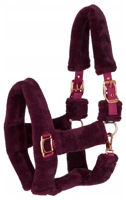 Image de Kantar START Teddy RoseGold Bride Bordeaux Taille Full