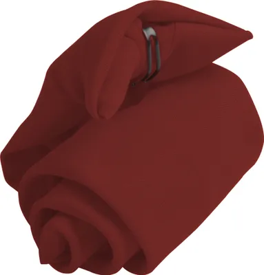 Image de Cravate clip-on Premier pour homme, unie RW1136 (taille unique) (Bourgogne)