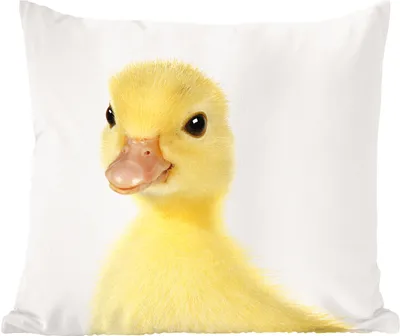 Produktbild von MuchoWow® Zierkissen Sofakissen Wohnzimmer Dekokissen 40x40 cm Ente - Küken - Süß - Kinder - Mädchen - Jungen - Foto Kissen - Schlafzimmer Dekoration