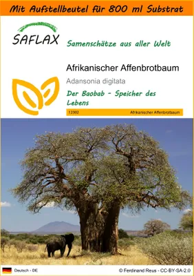 Produktbild von SAFLAX - Garden in the Bag - Afrikanischer Affenbrotbaum - 6 Samen - Mit Anzuchtsubstrat im praktischen, selbst aufstellenden Beutel - Adansonia digitata