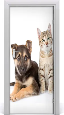 Produktbild von Tulup Türaufkleber 85x205 cm Dekorative Aufkleber Selbstklebend Wasserdichte Tapete Abnehmbar Schlafzimmer Wohnzimmer Wohnkultur - Hund und Katze Wand