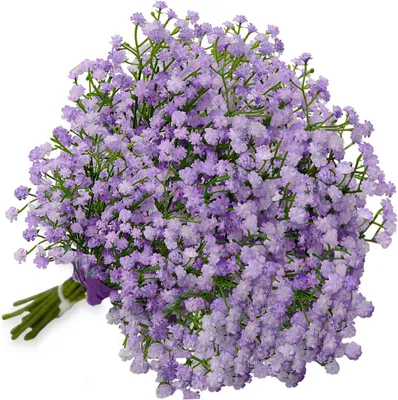 Produktbild von Kunstblumen Gypsophila lila, 10 Stück, für Wohnraumdekoration