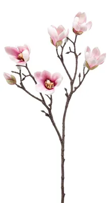 Produktbild von künstliche Magnolie Kirschblüte rosa H. 65cm Emerald Kunstblume