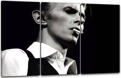 Produktbild von Leinwandbild 3-teilig (120x80cm): David Bowie, echter Holz-Keilrahmen inkl. Aufhänger, handgefertigt in Deutschland