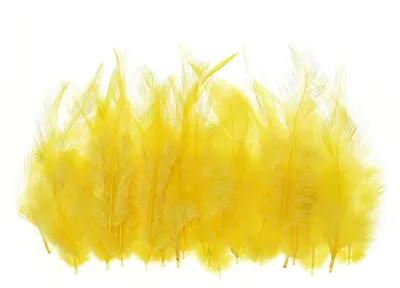 Produktbild von 50 Stück 3-6" Sattel Hackle Gockel Federn Naturfedern für Traumfänger, Ohrringe, Anhänger, Gelb