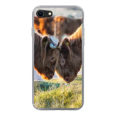 Produktbild von MuchoWow® Handyhülle Schutzhülle Hülle für iPhone 8 Schottische Highlander - Tiere - Sonne Silikon Softcase Handy Hülle - Schutzhaube