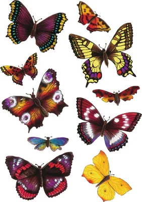 Produktbild von MAGIC Sticker Schmetterlinge 3D Flügel