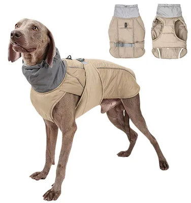 Immagine prodotto di Giacca invernale impermeabile e antivento per cani, con dettagli riflettenti