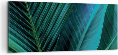 Produktbild von Bild auf Leinwand - Leinwandbild - Einteilig - Blatt Tropen Grün - 120x50cm - Wand Bild - Wanddeko - Wandbilder - Leinwanddruck - Bilder - Wanddekoration - Leinwand bilder - Wandbild - AB120x50-5071