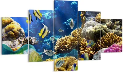 Produktbild von Bild auf Leinwand - Leinwandbild - Korallenriff Ozean Krabbe Fisch - 125x70cm - Wand Bild - Wanddeko - Leinwanddruck - Bilder - Kunstdruck - Leinwand bilder - Wandkunst - EA125x70-2662