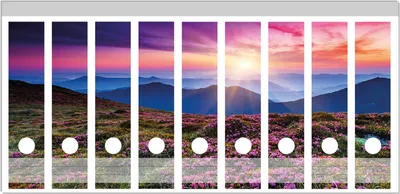 Produktbild von Wallario Ordnerrücken Sticker, selbstklebend für breite Ordner, 9 Stück, Motiv Blumenbedeckte Wiese bei Sonnenuntergang
