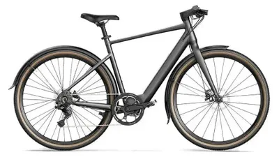 Produktbild von Fiido C21 - E-Bike - 27,6 Zoll - 250W Motor - 100 km Reichweite - 9-Gang - Hydraulische Scheibenbremsen - 209Wh Akku - Tiefeinsteiger - Grau