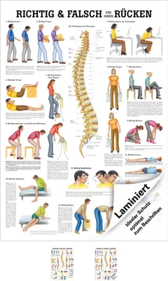 Produktbild von Richtig u. falsch für Ihren Rücken Mini-Poster Anatomie 34x24 cm med. Lehrmittel
