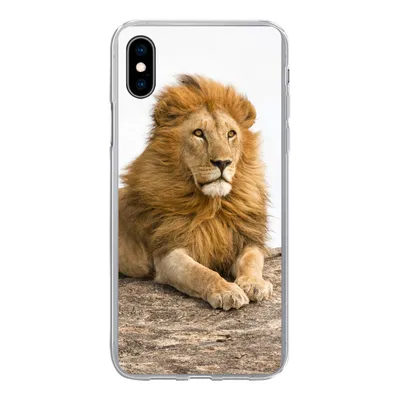 Produktbild von MuchoWow® Handyhülle Schutzhülle Hülle für iPhone Xs Löwe - Mähne - Tier Silikon Softcase Handy Hülle - Handytasche
