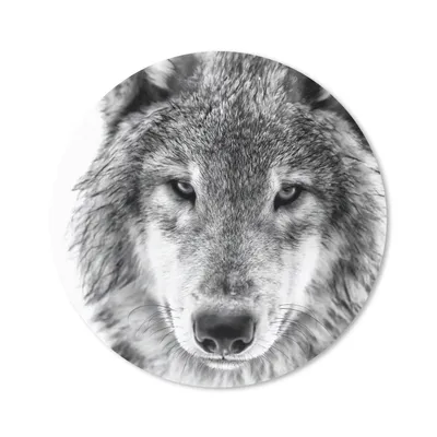 Produktbild von MuchoWow® Mauspad Mousepad Wolf im Winter in Schwarz und Weiß 40x40 cm - Mousepads - Maus Mat - Pad - Mausunterlage - Schreibtisch Accessoires