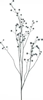 Produktbild von Hagebuttenzweig schwarz 134 cm Kunstzweig Buitengewoon de Boet