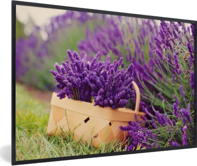 Produktbild von MuchoWow® Gerahmtes Poster Frischer Lavendel in einem Korb 30x20 cm - Poster mit Schwarzem Bilderrahmen Wandposter Rahmen Foto Bilder - Kunstdruck - Bild-Poster