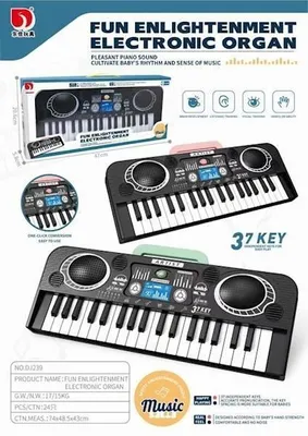 Zdjęcie produktu dla Organy