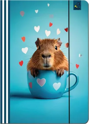 Obrázok produktu pre Balenie A4 Zakladač s gumičkou Capybara marine 5 kusov