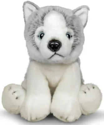 Immagine prodotto di Cane Husky Animigos giocattolo di peluche