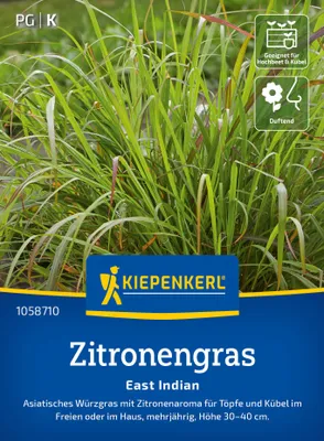 Produktbild von Kiepenkerl Zitronengrassamen East Indian Cymbopogon flexuosus 50 Pflanzen