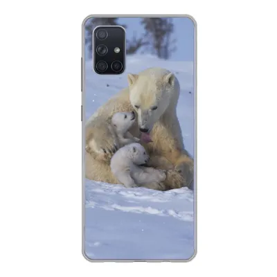 Produktbild von MuchoWow® Handyhülle Schutzhülle Hülle für Samsung Galaxy A71 Eisbären - Schnee - Weiß Silikon Softcase Handy Hülle - Kartenbesitzer