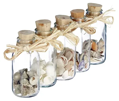5 Glazen Flaschen mit Muscheln, Dekoration, 12 cm