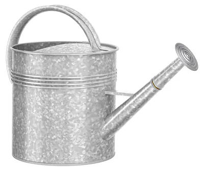 Image de Récipient ovale d'une capacité de 9,46 litres