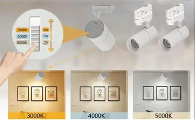 Zdjęcie produktu dla Reflektor LED Pulso obrotowy 20W