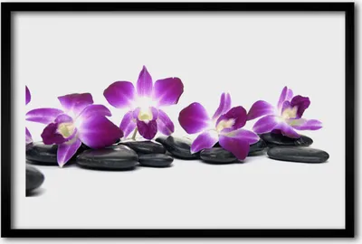 Produktbild von Bild 60x40 MDF-Rahmen Wandkunst Orchid flower Spa