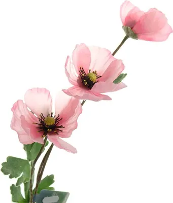 Produktbild von Kaemingk Mohnblütenstiel Rosa 70 cm - Kunstblumen